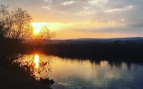 Ferienwohnungen Lausbuben&Zicken - im grünen Herzen Deutschlands